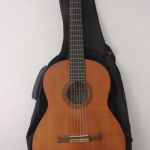 858 4544 GUITAR